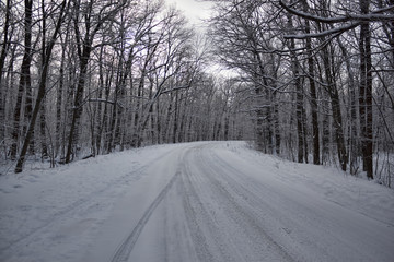 The road through the winter woods