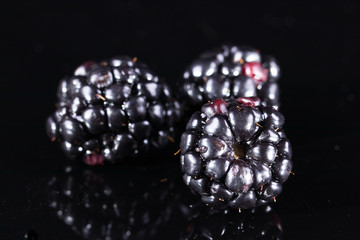 Three blackberries isolated on black