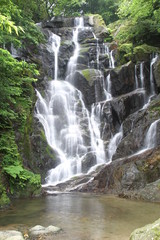 Fototapeta premium 白糸の滝 福岡県