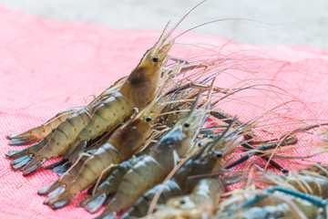 fresh shrimp on sack background