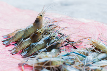 fresh shrimp on sack background
