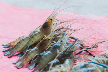 fresh shrimp on sack background