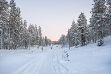 Snowy landscape in Lapland