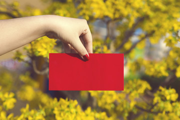 Hand give money in red envelopes - ang pow or red packet to some