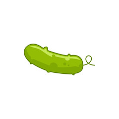 cucumber icon illustration
