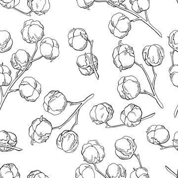 Cotton plant graphic black white seamless pattern sketch illustration vector