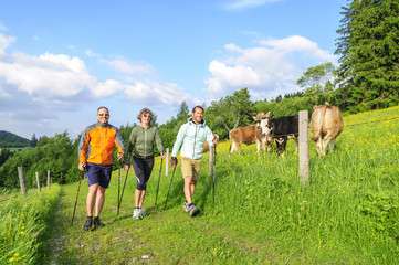 raus zum Walken in die Natur