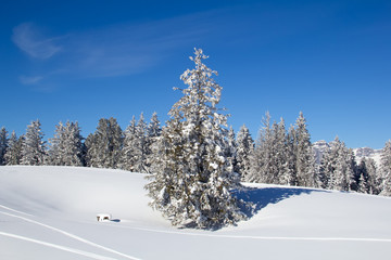 Winter in alps