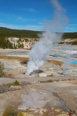 Norris geyser basin