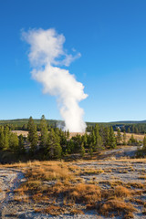 Geyser