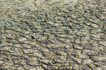 cracked surface. a dried river bed