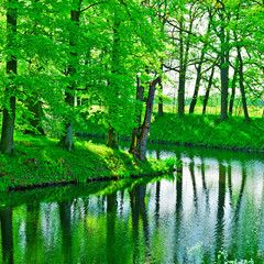 Fototapeta premium Canal