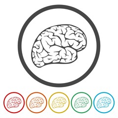 Brain icon, Brain Logo silhouette 