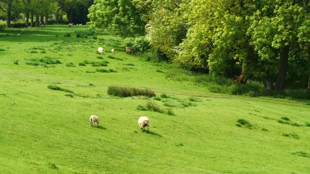 view from cotswolds way footpath dovers hill england uk