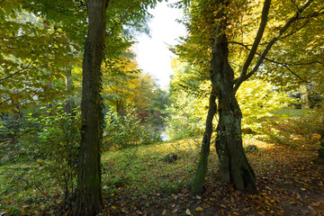Awesome colorful Park Landscape at Krefeld / Germany