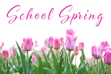 Text SCHOOL SPRING and flowers on white background. Additional education concept