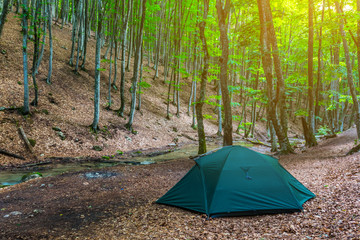 touristic camp in a summer forest
