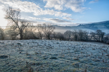 Frosty field