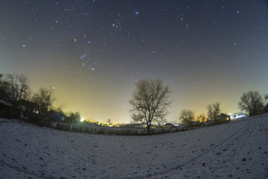 Night winter landscape in the countryside