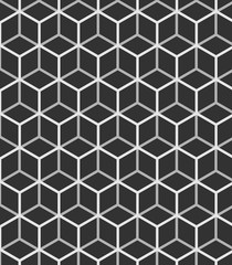 pattern of the hexagonal net