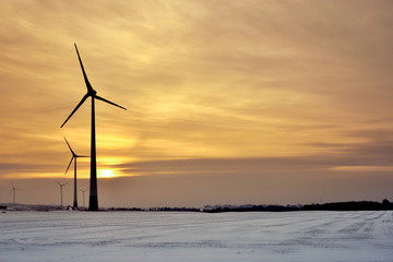 Windmills for electric power production. Winter landscape at sunset time. Poland.