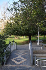 Puentes pequeños en parques. 