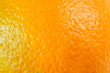 Orange peel macro close up