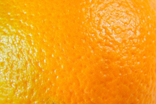 Orange Peel Macro Close Up