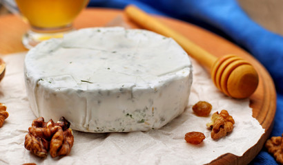 Camembert and brie cheese on wooden background with nuts spices and honey. Italian food. closeup .selective focus