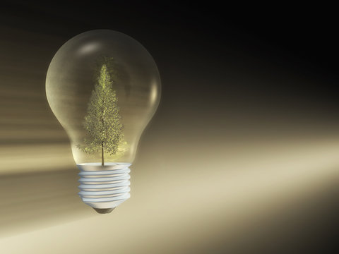 light bulb with a tree inside