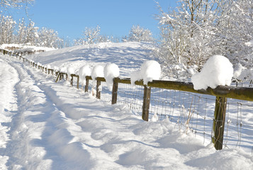 Winter scenery