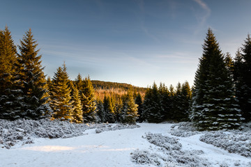 Winterlandschaft Deutschland