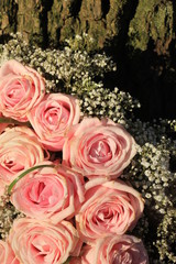 Mixed pink roses