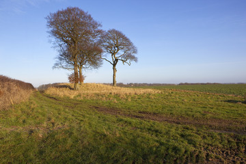 burial mound in winter