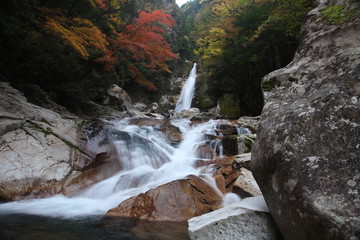 笹の滝　奈良県