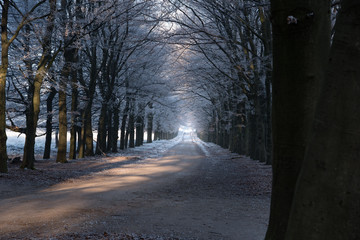 Wintery lane in the Netherlands