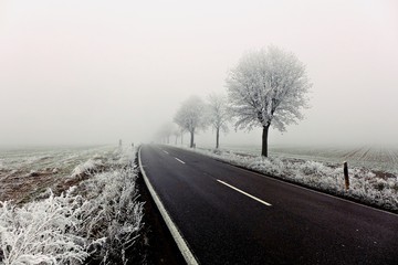 Landstraße im Winter