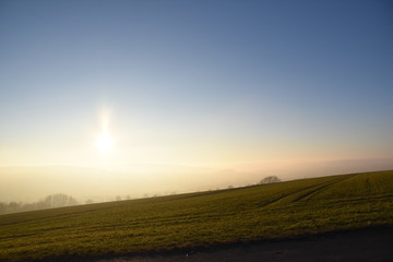 Winternebel im Nachmittagslicht