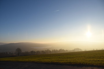 Nachmittagslicht über Winterweide