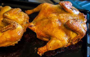 Roasted chicken on iron pan, food