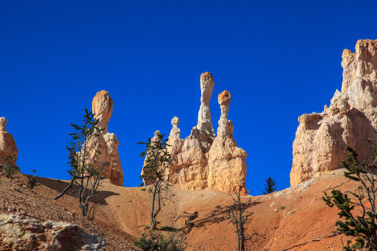 Stone Hoodoos in Bryce Canyon National Park.