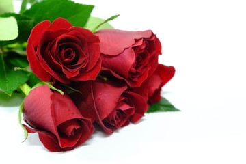 red rose with green leaf on the white background (isolated) as gift on valentine days