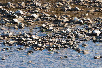 Ballerina gialla sul fiume