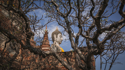 Fototapeta na wymiar Ancient buddha statue and pagoda in Ayutthaya, Thailand