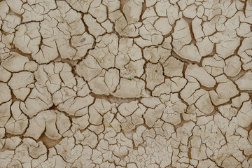 Cracked ground,Dry land.