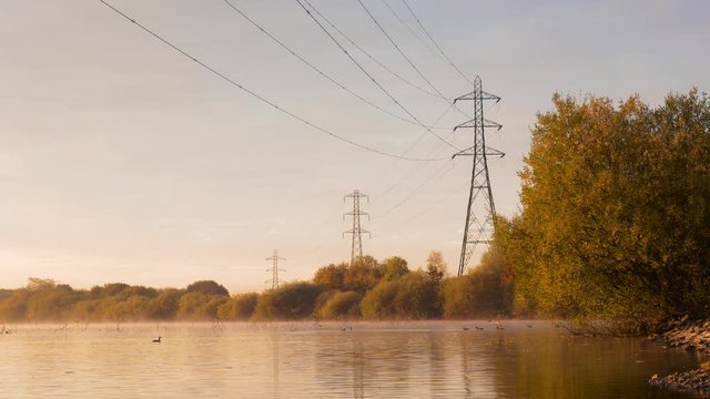Golden autumn morning sunlight on misty lake with pylons in background and brown leaves falling from tree and ducks swim in rippling water, English countryside.