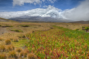 Fototapeta na wymiar Antisana Volcano
