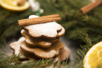 Hill ginger cookies dusted with powdered sugar on the background of the Christmas wreath