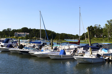 Boats moored