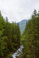 Fototapeta na wymiar Mountains and meadows with a small creek